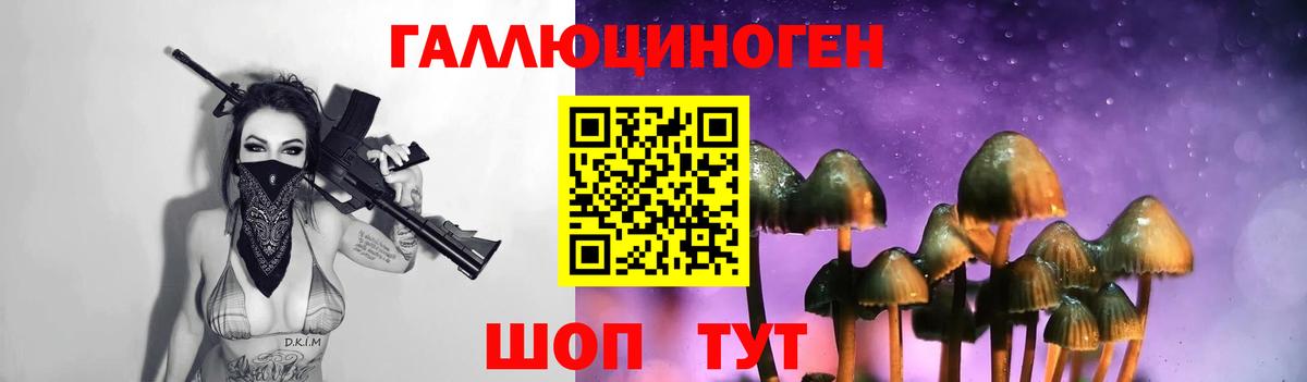 Галлюциногенные грибы Psilocybe  Вход с VPN  Тольятти  Псилоцибиновые грибы мухоморы 